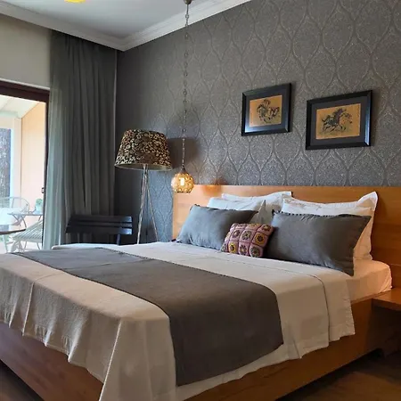 D&c Hotel *