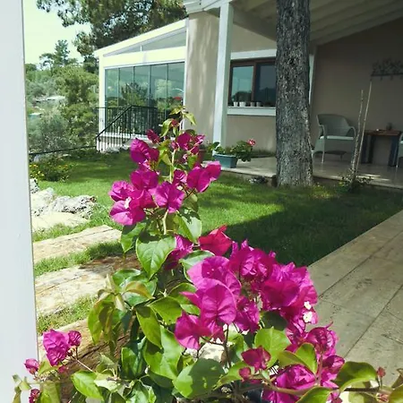 Ξενοδοχείο D&c *