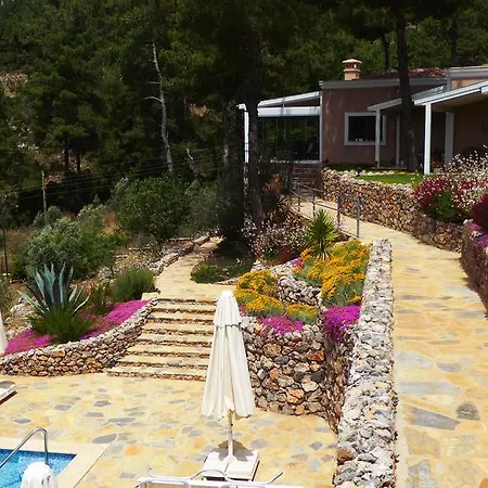 Ξενοδοχείο D&c *